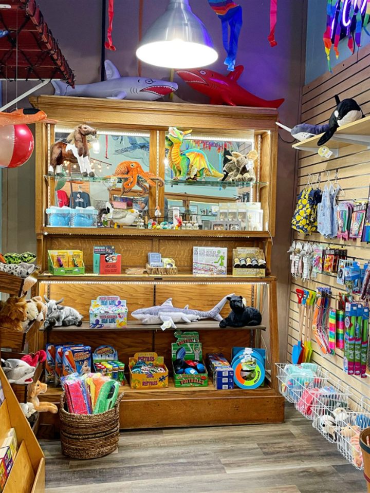Wooden display case of plush sea creatures, dinosaurs, and science kits in the kids corner