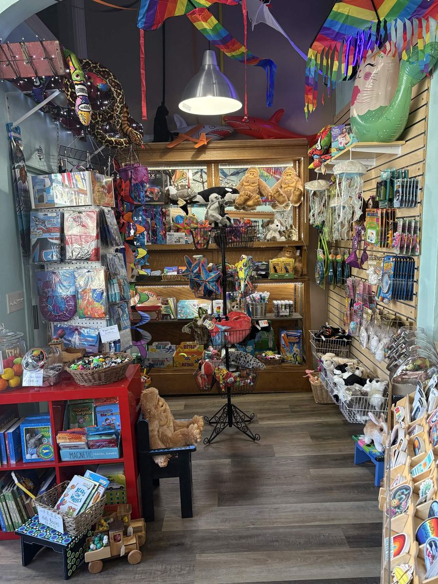 Kids corner with plush sea creatures, books, and rainbow kites hanging overhead